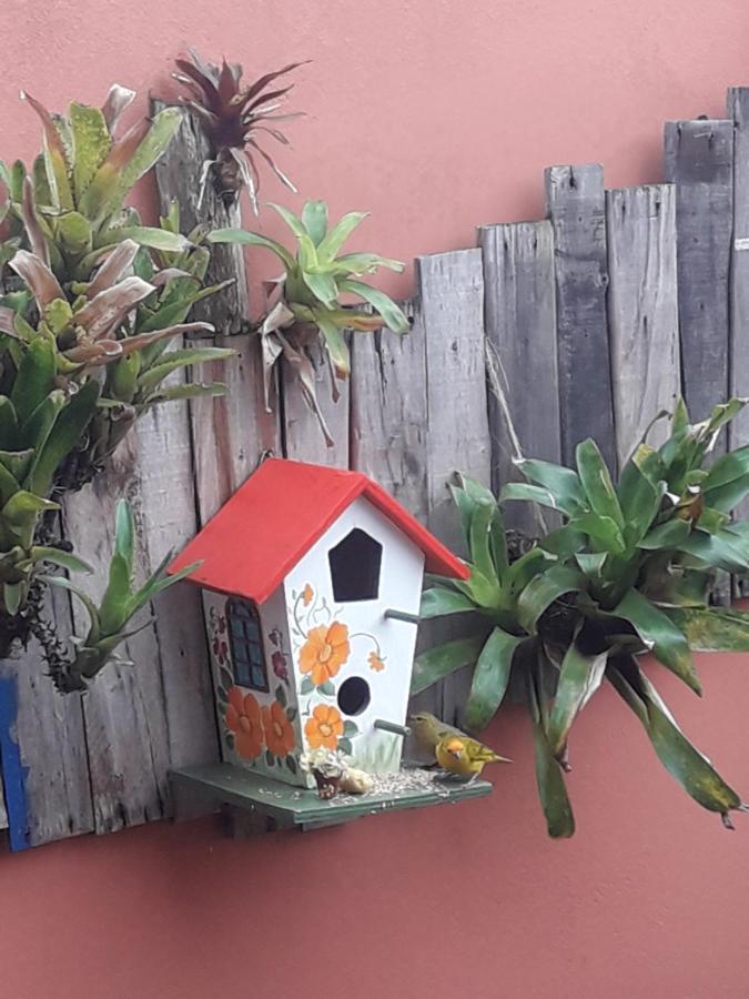 Casa Indaia Bnb - Casa Compartilhada カラグァタトゥバ エクステリア 写真