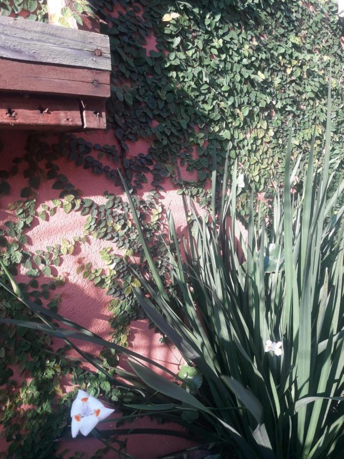 Casa Indaia Bnb - Casa Compartilhada カラグァタトゥバ エクステリア 写真