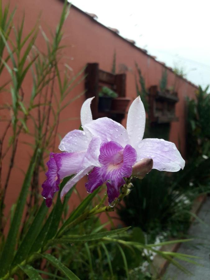 Casa Indaia Bnb - Casa Compartilhada カラグァタトゥバ エクステリア 写真